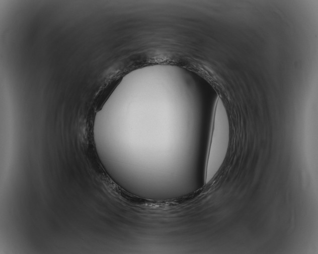 X0000086800524200704130903