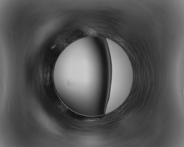 X0000086800525200704130903