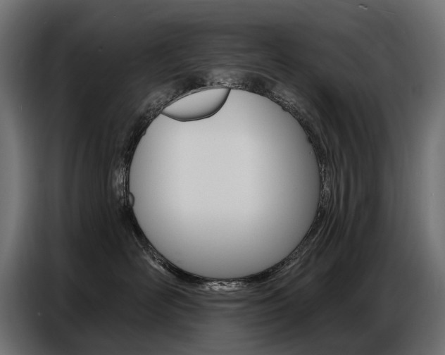 X0000086800526200704130903