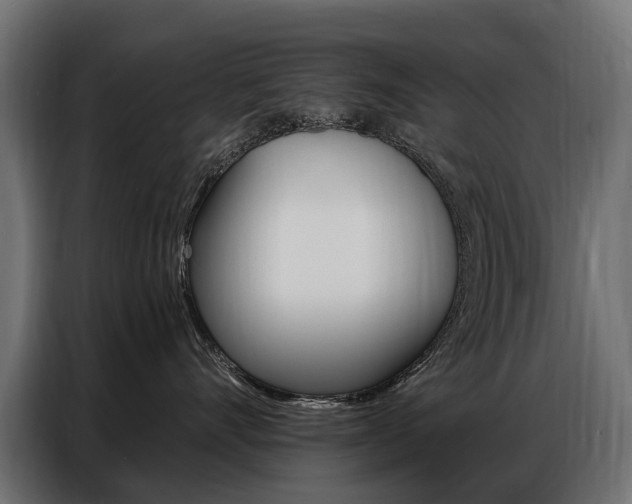 X0000086800528200704130903