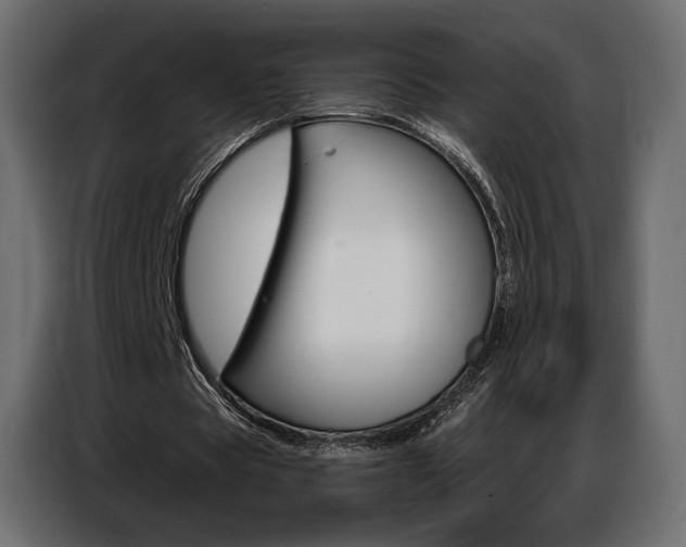 X0000086800529200704130902