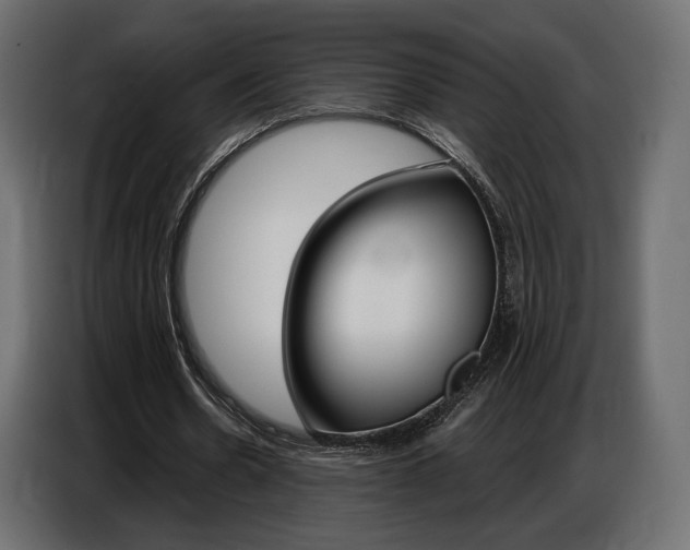 X0000086800530200704130902