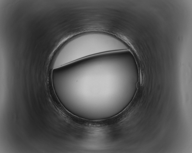 X0000086800531200704130902