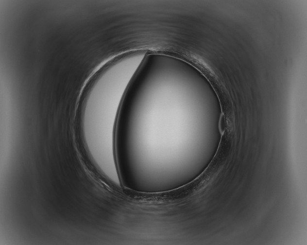 X0000086800532200704130902