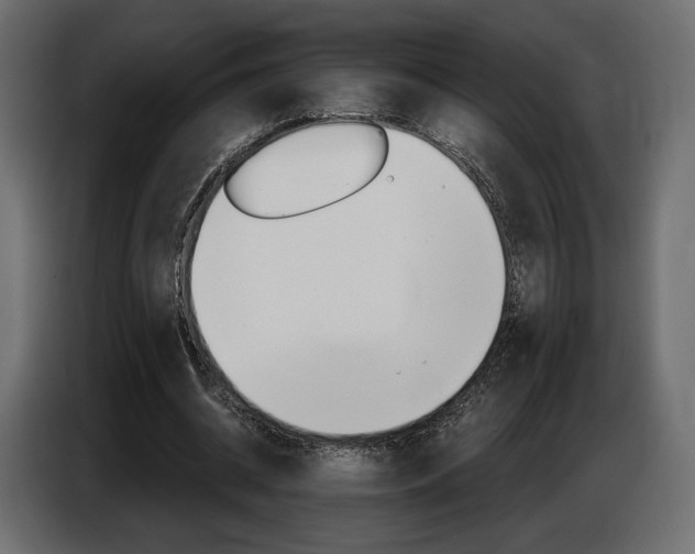 X0000086800534200704130902