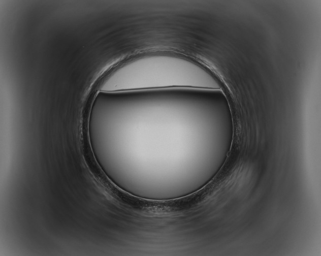 X0000086800535200704130902