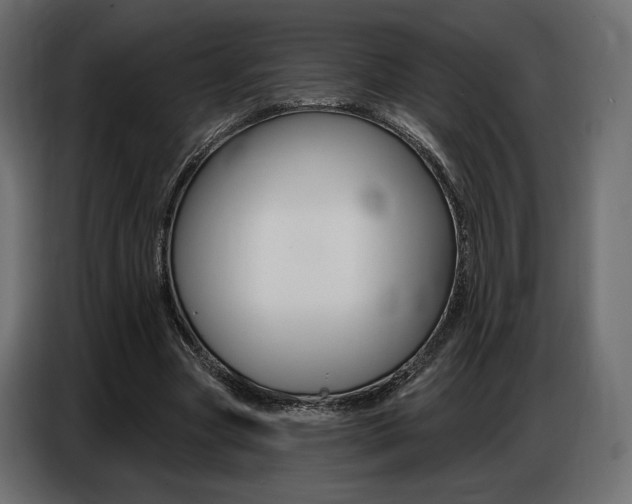 X0000086800537200704130902