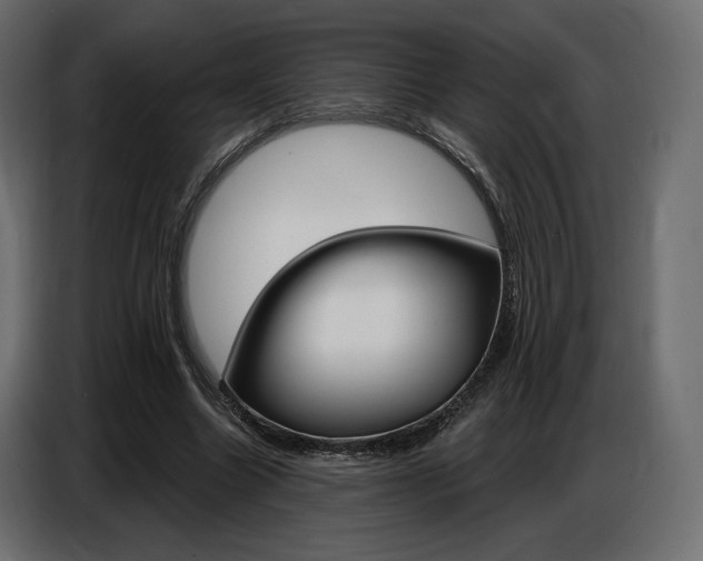 X0000086800538200704130902