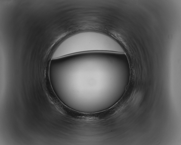 X0000086800539200704130902