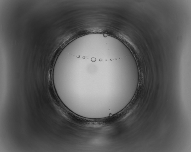 X0000086800541200704130902