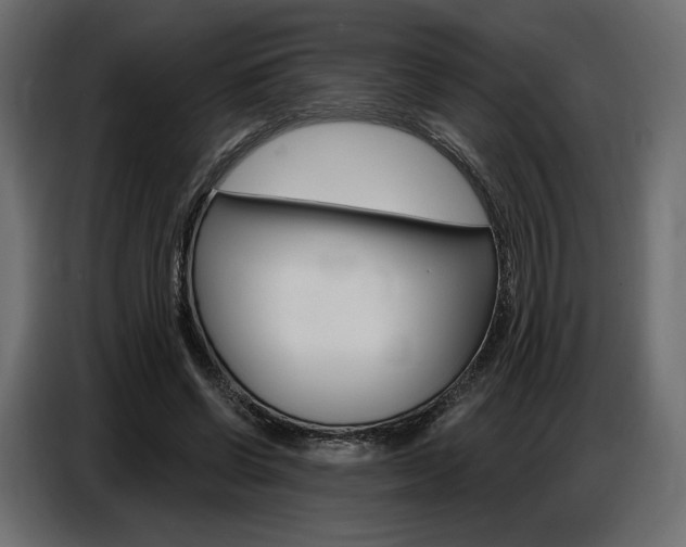X0000086800542200704130902