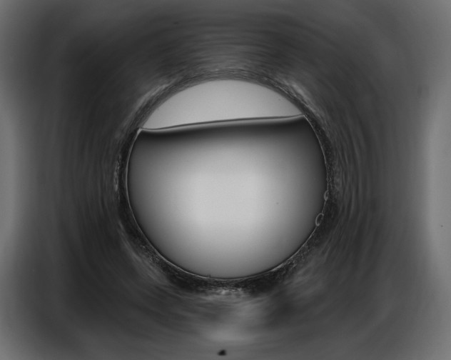X0000086800543200704130903