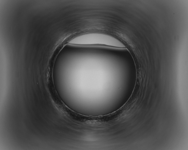 X0000086800544200704130903