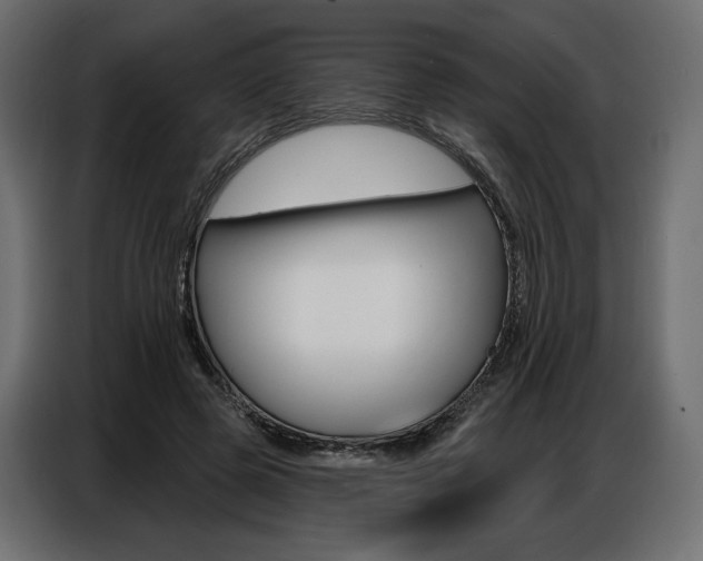 X0000086800545200704130903