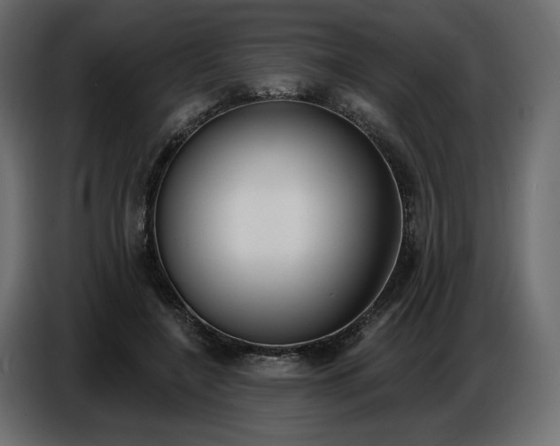 X0000086800548200704130903