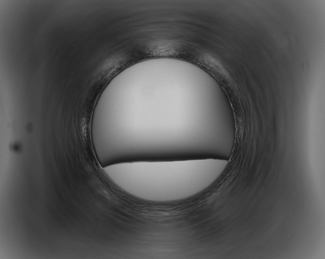 X0000086800549200704130903