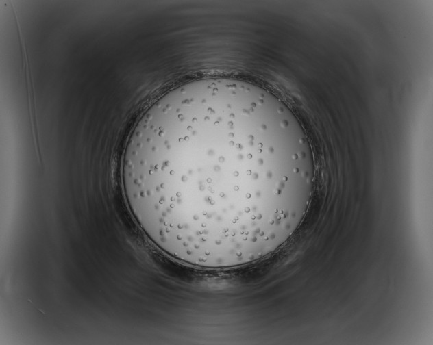 X0000086800550200704130903
