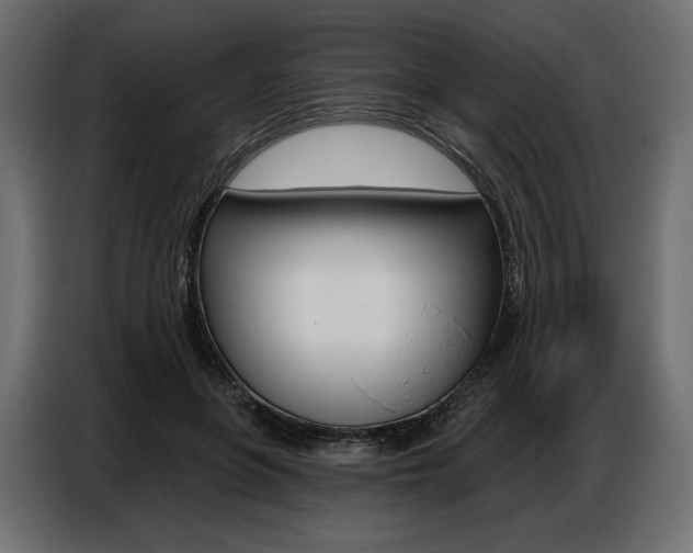 X0000086800551200704130903