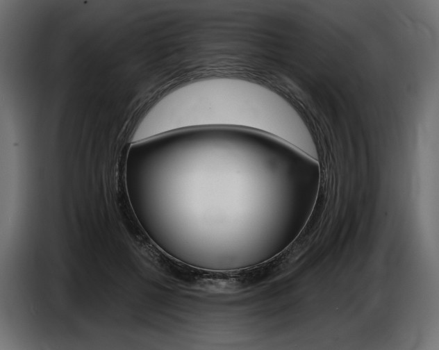 X0000086800552200704130903