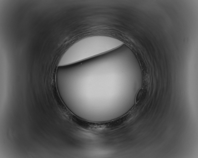 X0000086800554200704130903