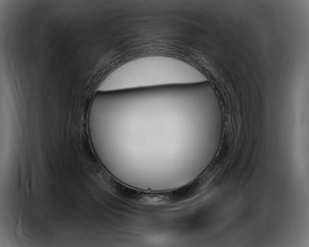X0000086800557200704130903