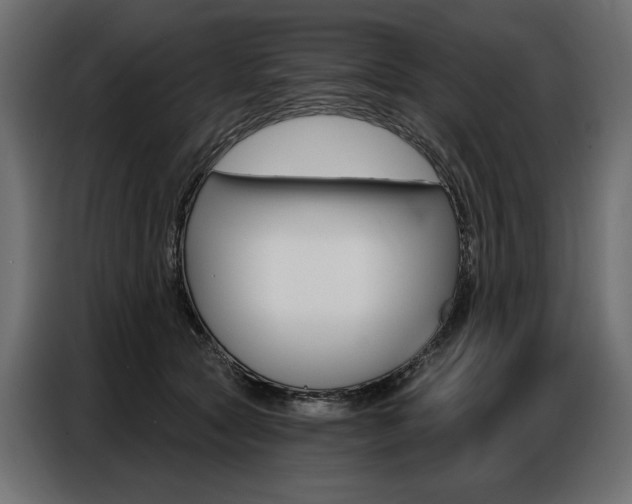 X0000086800561200704130903