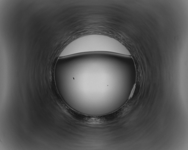 X0000086800562200704130903