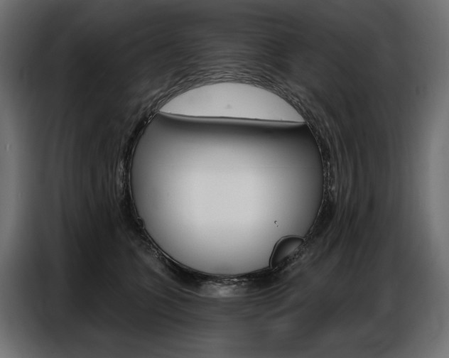 X0000086800563200704130903