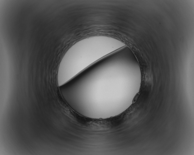 X0000086800567200704130903