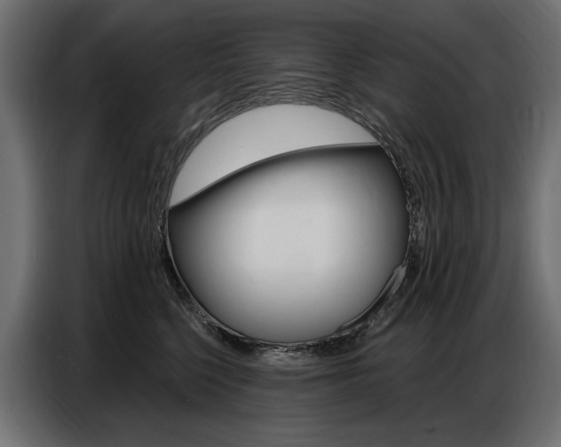 X0000086800568200704130903