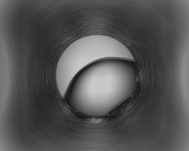 X0000086800570200704130903