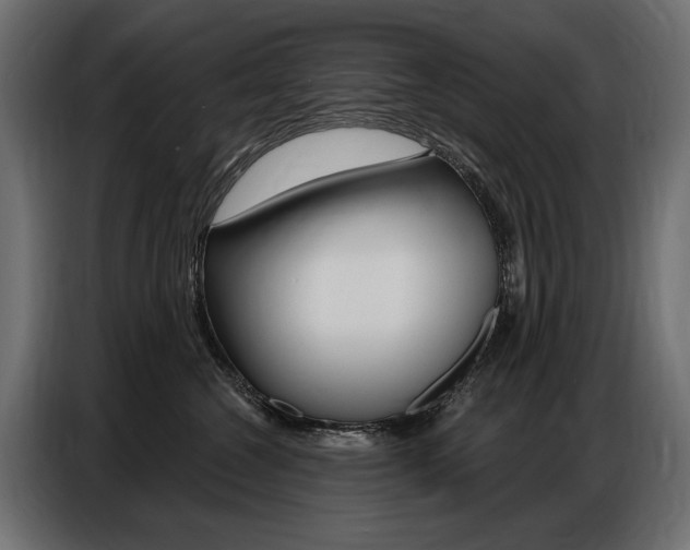 X0000086800572200704130903