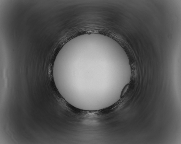 X0000086800573200704130903