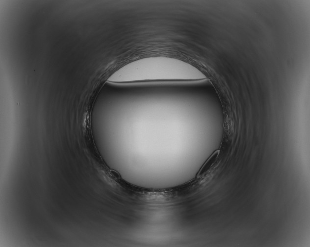 X0000086800574200704130903