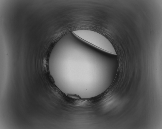 X0000086800575200704130903