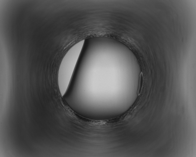 X0000086800576200704130903