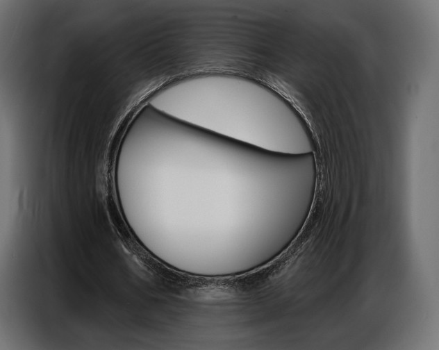 X0000086800578200704130902