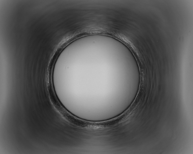 X0000086800582200704130902