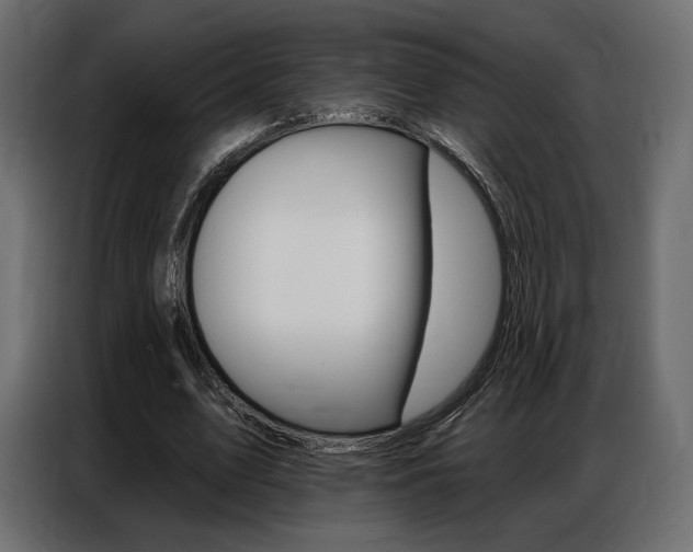 X0000086800583200704130902