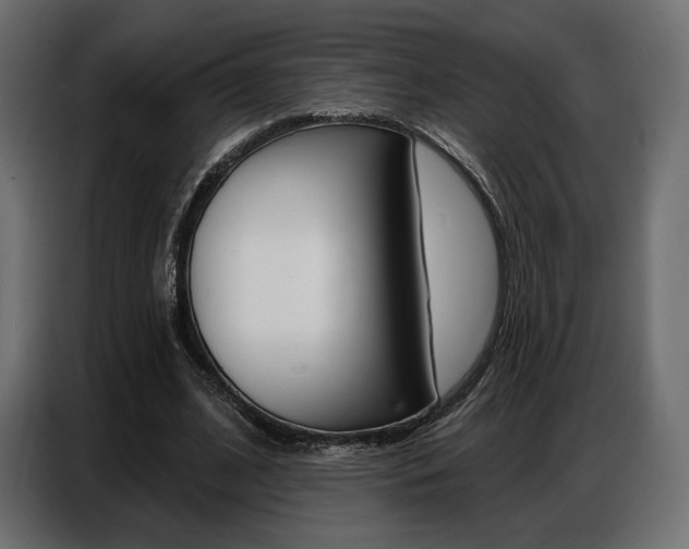 X0000086800584200704130902