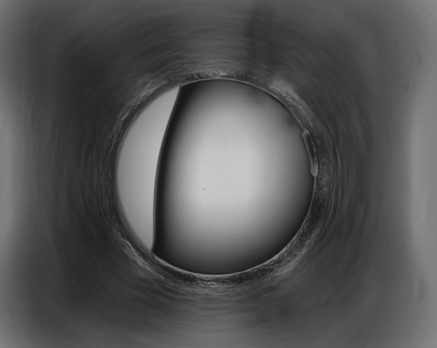 X0000086800585200704130902