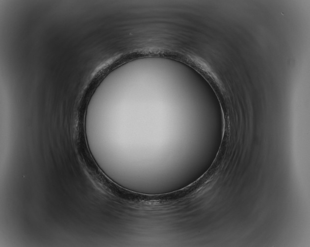 X0000086800588200704130902