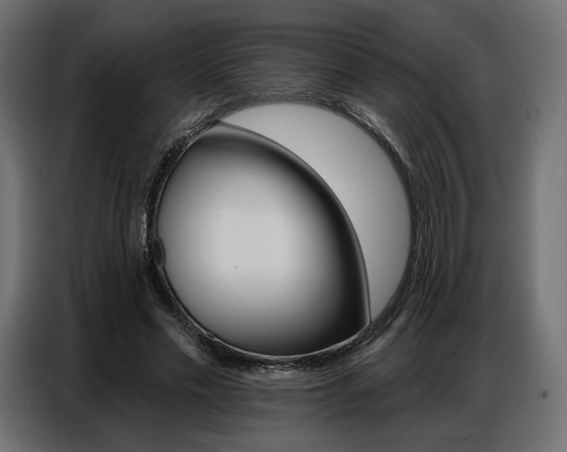 X0000086800589200704130902