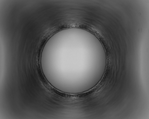 X0000086800594200704130902