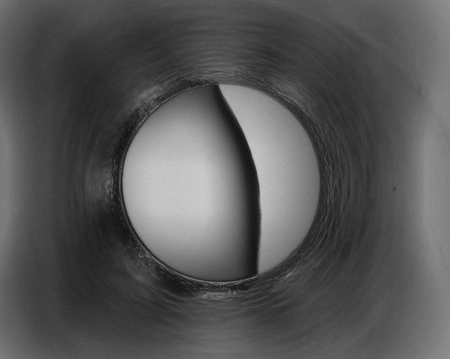 X0000086800595200704130902