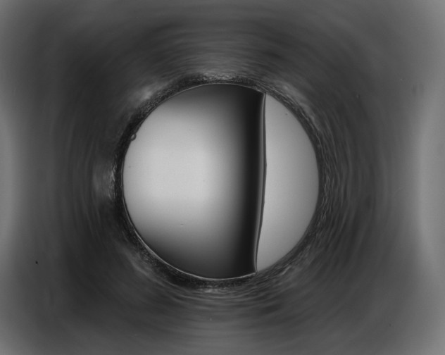 X0000086800596200704130902