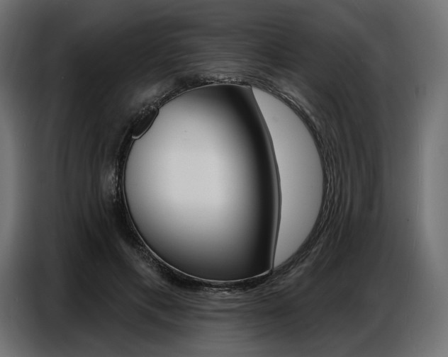 X0000086800597200704130902