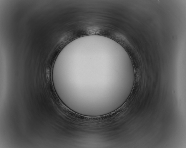 X0000086800598200704130902