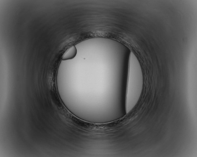 X0000086800599200704130902