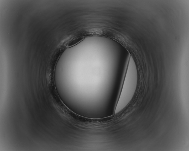 X0000086800600200704130902